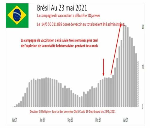 vaccines_mort_morb_gr_brasilien-ec2bf-12
